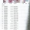 Catalogo de Cédulas Brasileiras - Plano REAL- CCMBR - Primeira Edição - 20211 - Nilton Romani