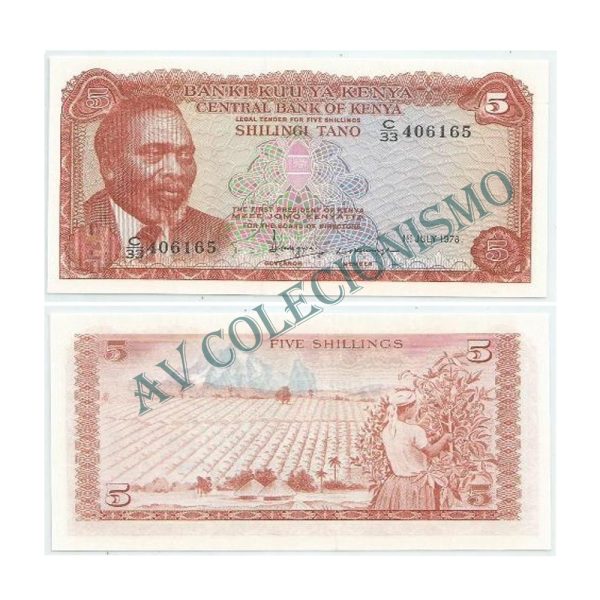 Cédula - Kenia - Km015 - 5 Shilings - 1978 - FE