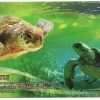 Cédula Fantasia - Oceano ATLANTICO - 3 Dólar Oceânico - Tartaruga - 2016 - FE