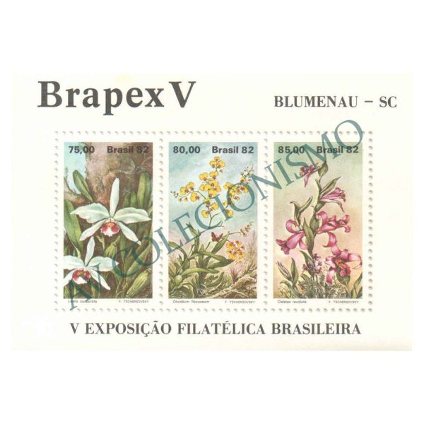 B051 - Brapex V - Exposição Filatélica Brasileira. Blumenau - 1982 - MINT