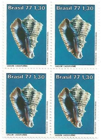 QC0992 - Moluscos do Brasil - Vasum - 1977 - MINT