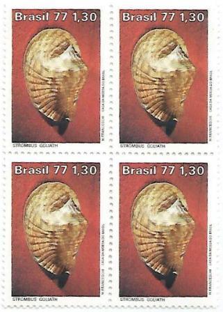 QC0993 - Moluscos do Brasil - Strombus - 1977 - MINT