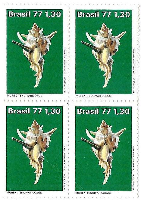 QC0994 - Moluscos do Brasil - Murex - 1977 - MINT