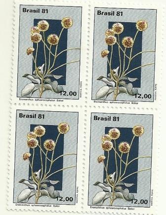 QC1220MINT - Flora Brasileira do Planalto Central - Eremanthus - 1981 - MINT