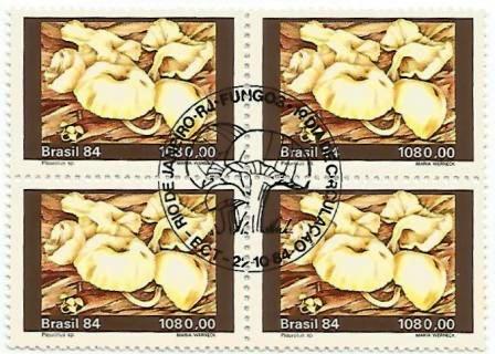 QC1420CBC - Fungos - Pleurotus sp - 1984 - CBC