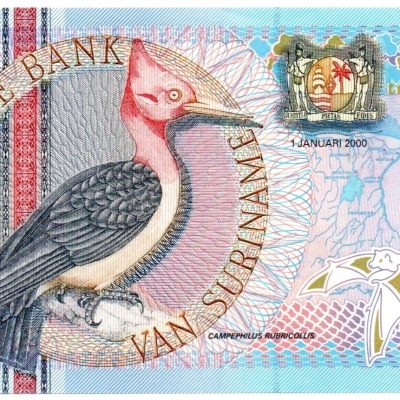 Cédula - Suriname - Km146 - 5  Gulden - 2000 - FE