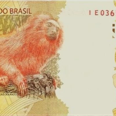 C355E - Cédula Brasil - 20 Reais - Série - IE - 2019 - FE
