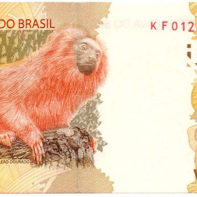 C355N - Cédula Brasil - 20 Reais - Série - KF - 2021 - FE