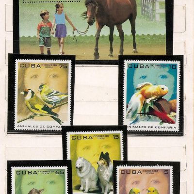 Cuba - Serie de selos - Animais de Companhia - 2004