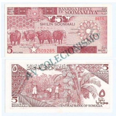 Cédula - Somalia - #031c - 5  Shillings - 1987 - FE