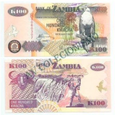 Cédula - Zambia - Km038f - 100 Kwacha - 2006 - FE