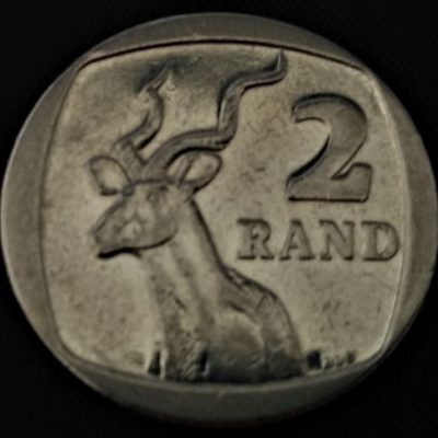 Moeda ÁFRICA do SUL - Km498 - 2 RAND - 2010 - FAUNA - Banho de NI  - 23 mm - 5,5 Gr