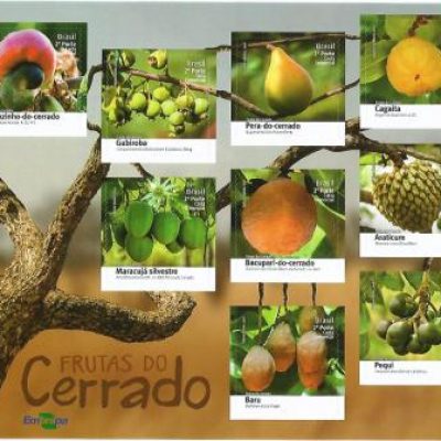 B196 - Frutas do Cerrado - 2016 - MINT