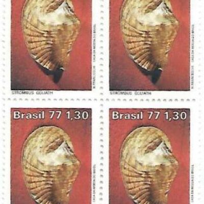 QC0993 - Moluscos do Brasil - Strombus - 1977 - MINT