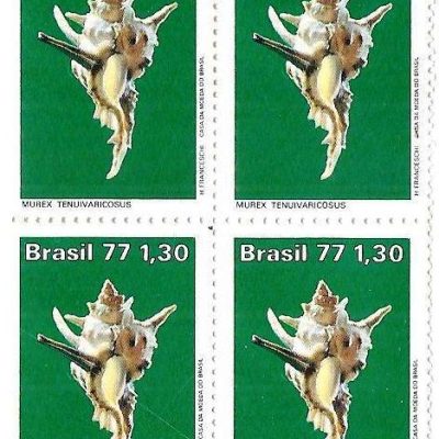 QC0994 - Moluscos do Brasil - Murex - 1977 - MINT