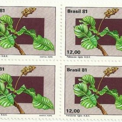QC1219MINT - Flora Brasileira do Planalto Central - Palicourea - 1981 - MINT