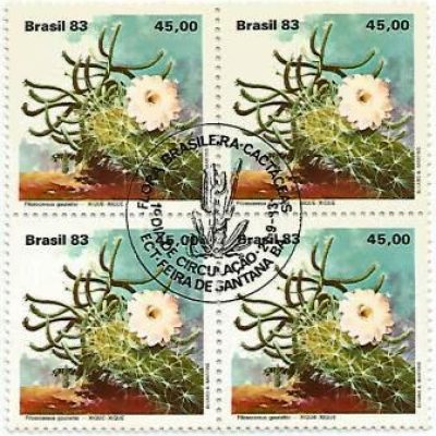 QC1351CBC - Flora Brasileira - Cactáceas - Xique-xique - 1983 - CBC