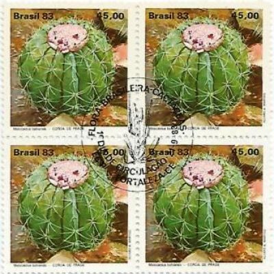 QC1352CBC - Flora Brasileira - Cactáceas - Coroa-de-frade - 1983 - CBC