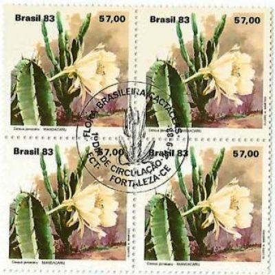QC1353CBC - Flora Brasileira - Cactáceas - Mandacaru - 1983 - CBC