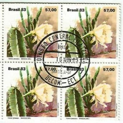 QC1353CPD - Flora Brasileira - Cactáceas - Mandacaru - 1983 - CPD