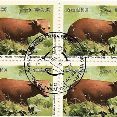 QC1593CBC - PRESERVAÇÃO DA FAUNA BRASILEIRA MAMIFEROS EM EXTINÇÃO - 1988 - CBC