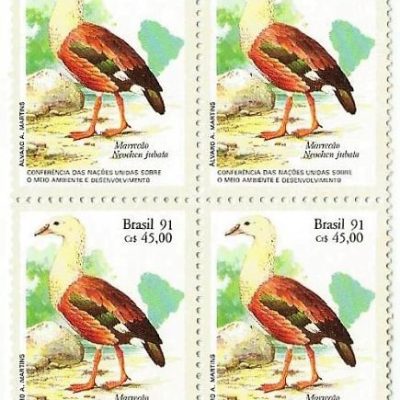 QC1736MINT - CONFERÊNCIA SOBRE O MEIO AMBIENTE E DESENVOLVIMENTO - 1991 - MINT