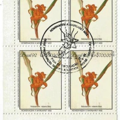 QC1807CBC - PRESERVAÇÃO DA MATA ATLÂNTICA HOMENAGEM A MARGARET MEE - CONFERÊNCIA DA ONU SOBRE MEIO AMBIENTE E DESENVOLVIMENTO - 1992 - CBC