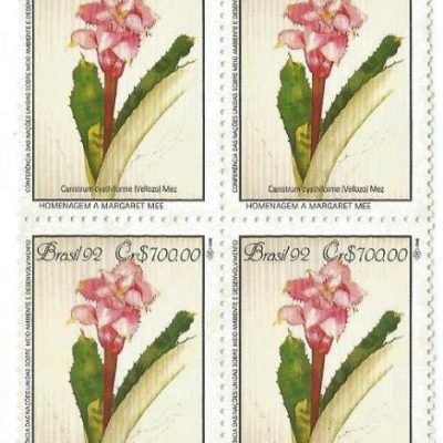 QC1808MINT - PRESERVAÇÃO DA MATA ATLÂNTICA HOMENAGEM A MARGARET MEE - CONFERÊNCIA DA ONU SOBRE MEIO AMBIENTE E DESENVOLVIMENTO - 1992 - MINT