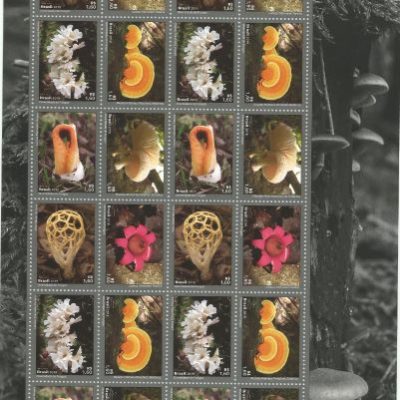 SCF3821 - Sextilha Mercosul  - Diversidade de Fungos - Brasil - 2019