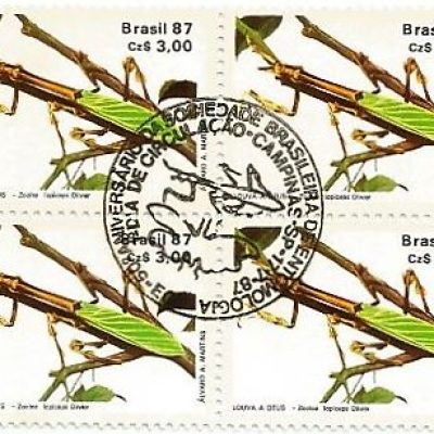 QC1554CBC - 50° ANIVERSÁRIO DA SOCIEDADE BRASILEIRA DE ENTOMOLOGIA/SP - 1987 - CBC